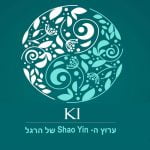 ערוץ Shao Yin של הרגל