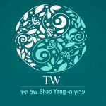 ערוץ Shao Yang של היד