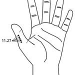 11.27 חמשת הנמרים Wǔ Hǔ 五虎