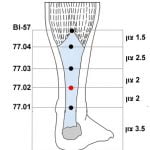 כיצד התגלו לי נקודות הדיקור – 77.01, 77.02