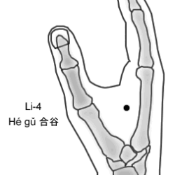 Li-4