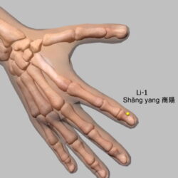 Li-1
