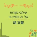 שילובי נקודות של ד"ר הו וון ג'י