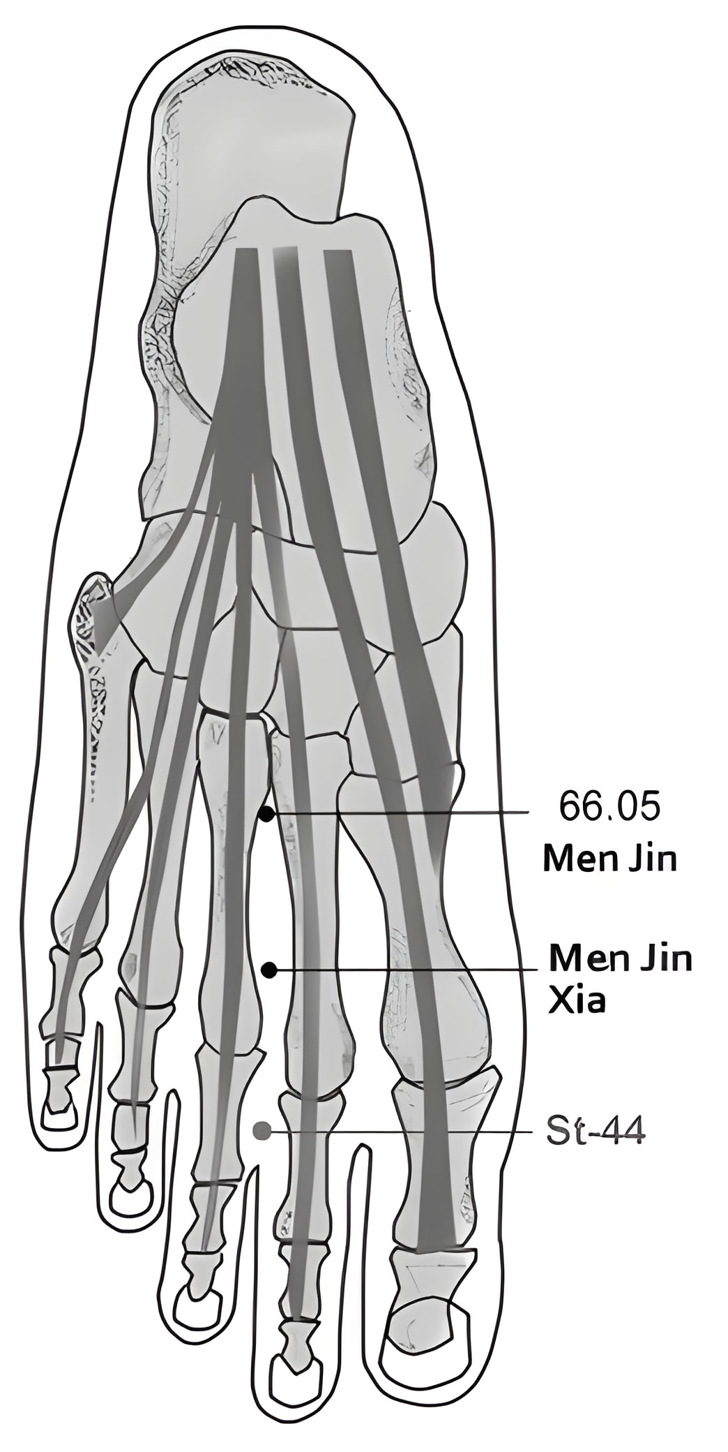 66.05 Men Jin