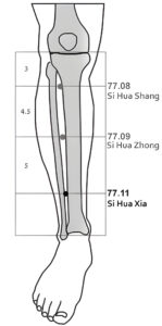 77.11 Si Hua Xia
