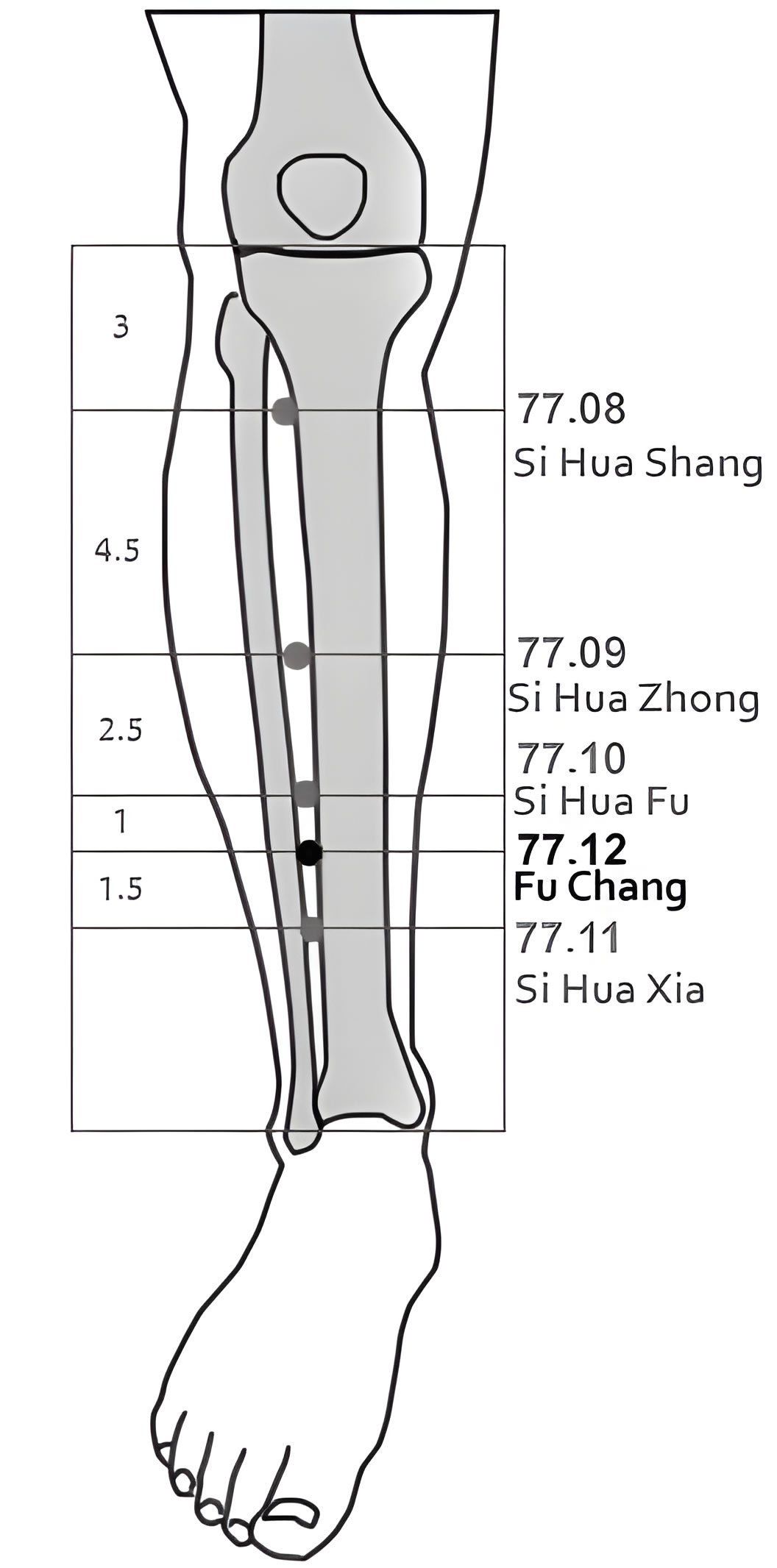 77.11 Si Hua Xia
