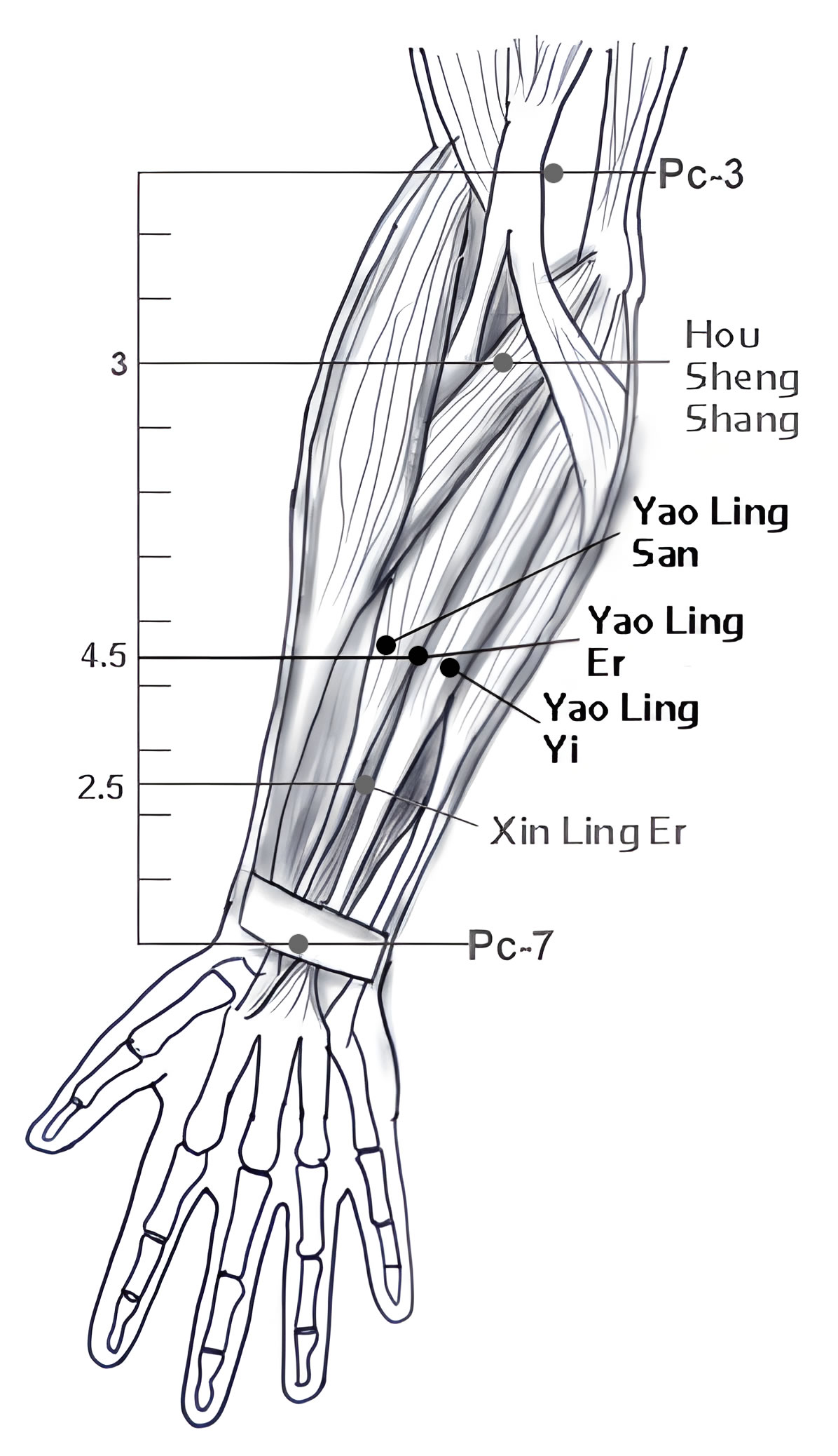 Yao Ling